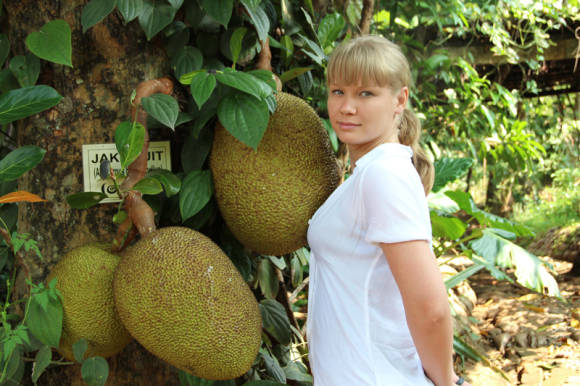Jackfruit. Srí Lanka. Foto: Alena Tsygankova
