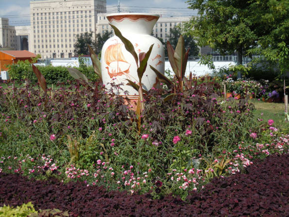 Maple Hibiscus Mahogany en el diseño del jardín de exposiciones