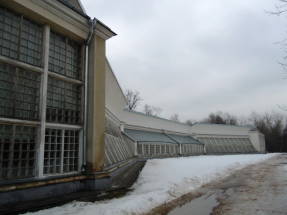Kuskovo. American greenhouse