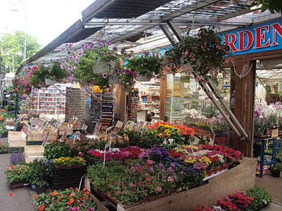 Lebegő virágpiac Amszterdamban