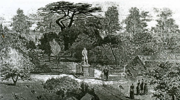 Chelsea Physic Garden. Walter Burgess (1846–1908)