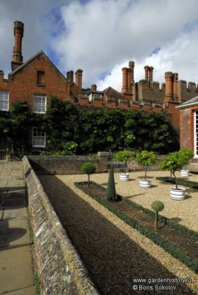 Hampton Court. Üvegházas kert az üvegházból származó egzotikus fákkal