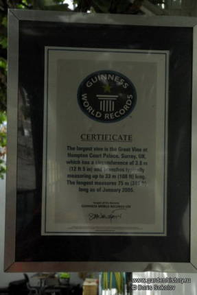 Tribunal Hampton. Certificado del Libro Guinness de los Récords