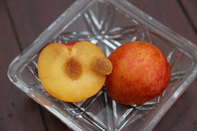 Sharafuga: Tastes more of apricot