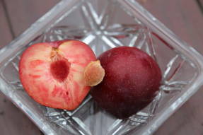 Sharafuga: Tastes more of the plum