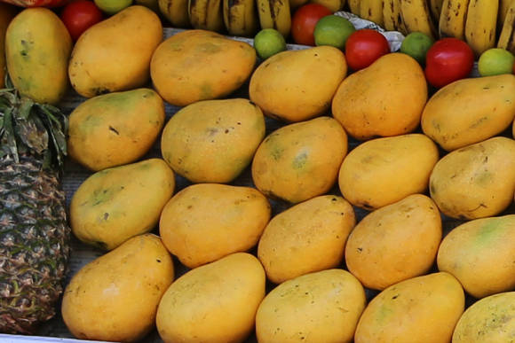 Mango på indisk disk