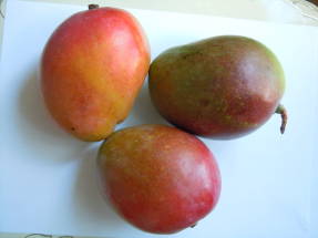 Mango vaisiai yra asimetriški,