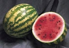 Watermelon Madera F1