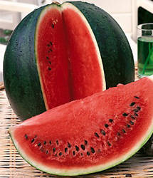 Watermelon Suga Baby