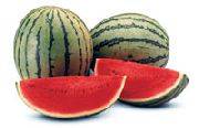 Watermelon Jenny F1