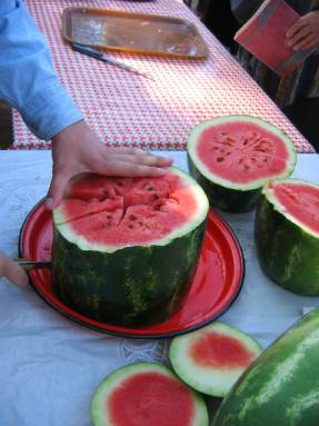 Watermelon Earthling