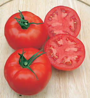 Pomidoras F1 Katyusha