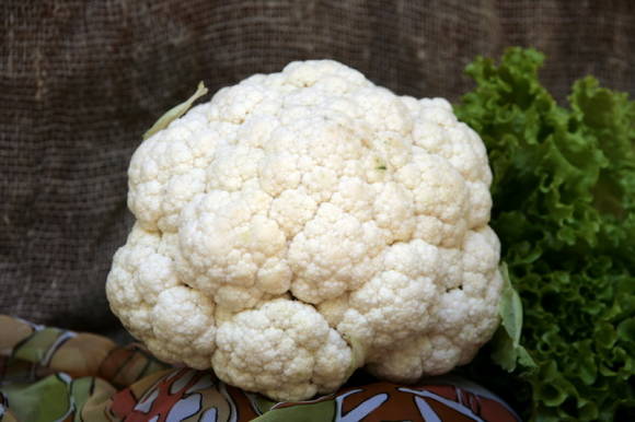 Cauliflower Snowdrift
