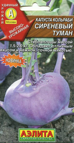 Kohlrabi cabbage Lilac Mist