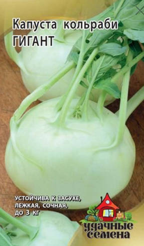 Kohlrabi Giant cabbage