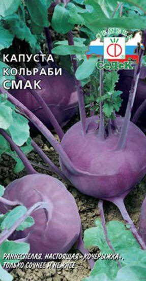 Kohlrabi Smak cabbage