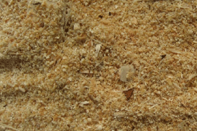 Taimisubstraatti sahanpurusta hiekalla