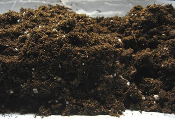 Mescla de sòl per a plàntules