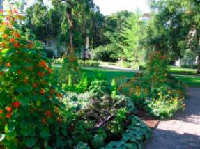 Jardín ornamental: sabroso, saludable y hermoso.