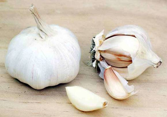 We will plant garlic before winter