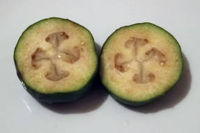 Tværsnit af feijoa frugt