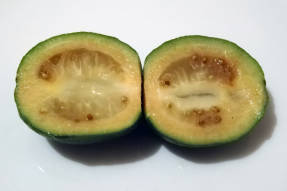 Langsdoorsnede van een feijoa-vrucht