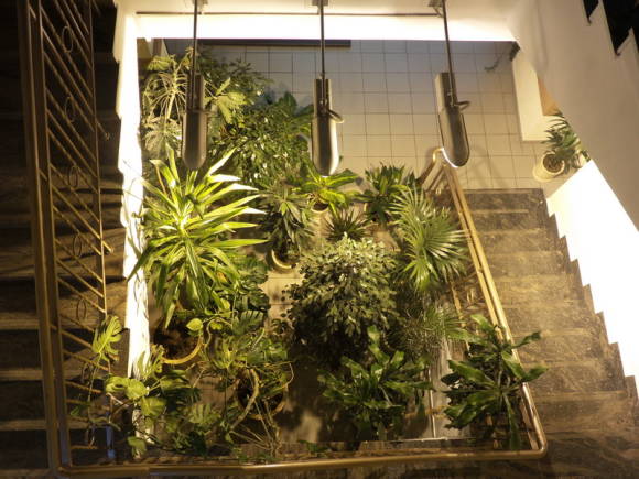 Il·luminació de plantes d'interior