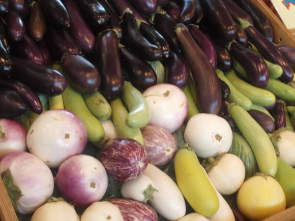 Baklažanai – ilgaamžiška daržovė