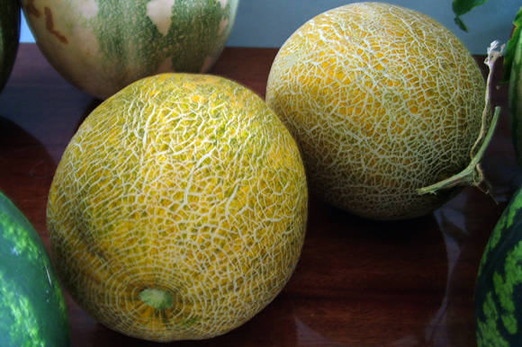 Melon Lada