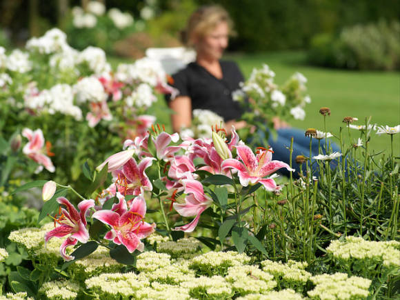 Plantar flores bulbosas: la forma más fácil de conseguir un hermoso jardín