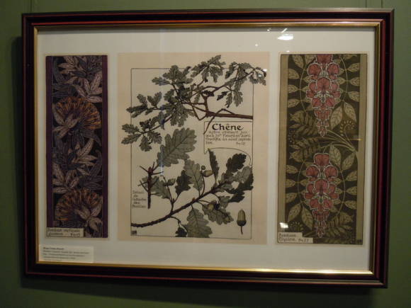 Prøver av ornamenter og skisser av planter. Verney M.P.