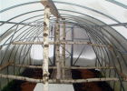 Preparing the greenhouse for winter