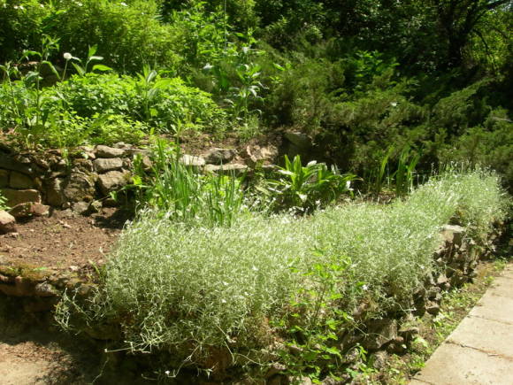 Tobogan alpí al jardí