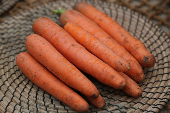 गाजर की सफाई और भंडारण
