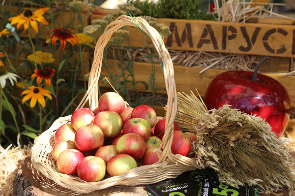 Χρήσιμες ιδιότητες των μήλων και θεραπεία με μήλο