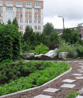 Universidad y jardín botánico de Perm