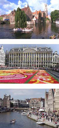 Floral carpet in Ghent, Belgium