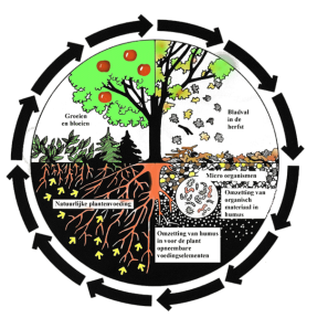 Los microorganismos son la base de la eficacia de los fertilizantes Esostyle